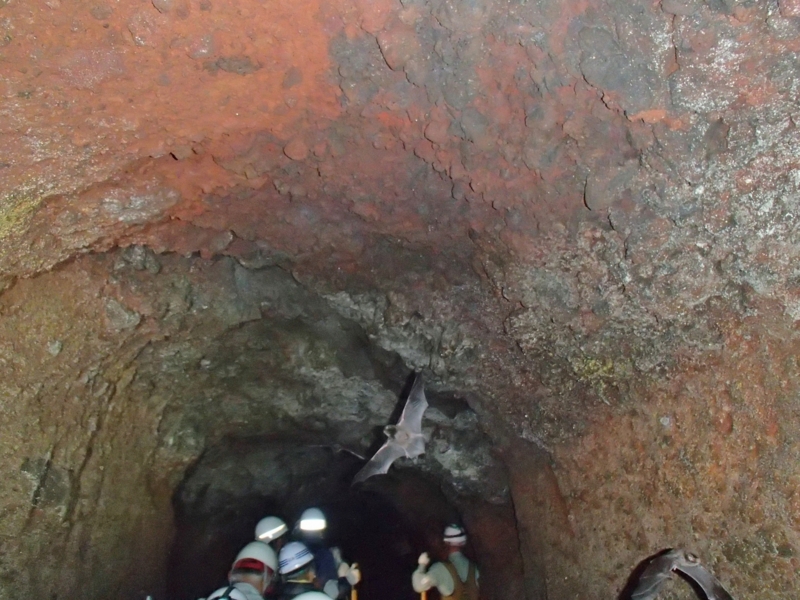 f:id:qshiro:20141020154421j:image:w360