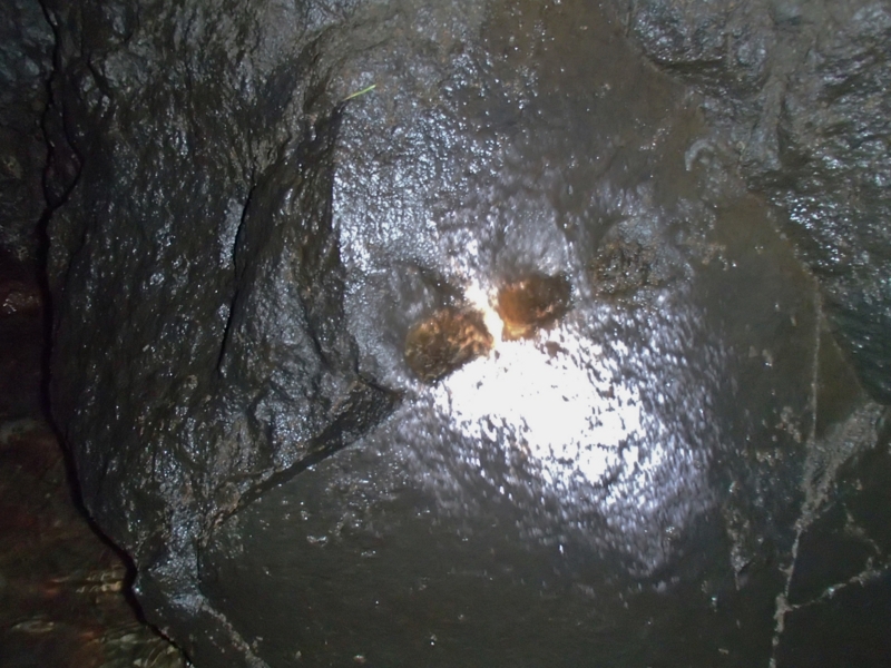 f:id:qshiro:20141020154422j:image:w360