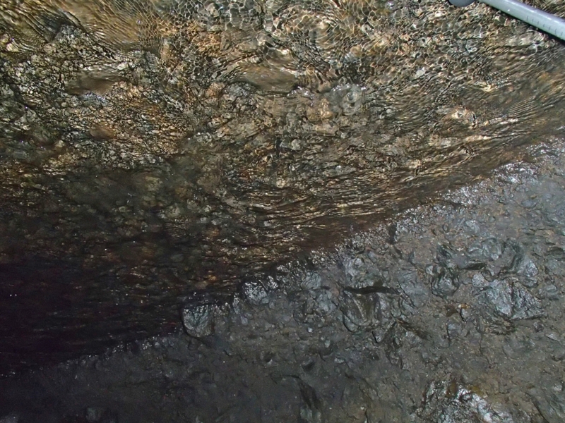 f:id:qshiro:20141020154423j:image:w360