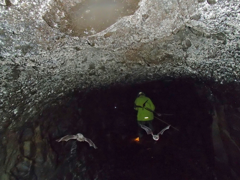 f:id:qshiro:20141020154424j:image:w360