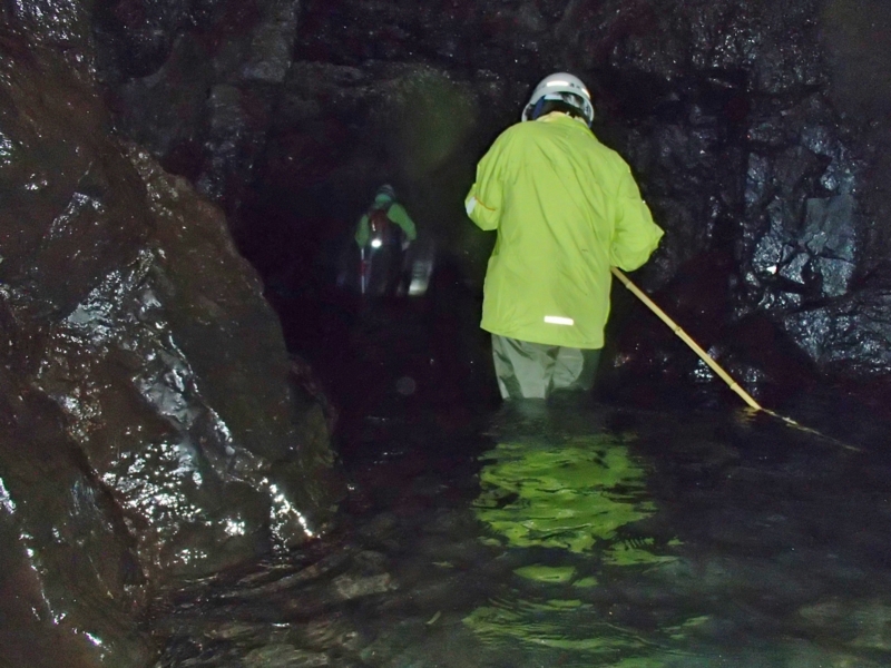 f:id:qshiro:20141020154425j:image:w360