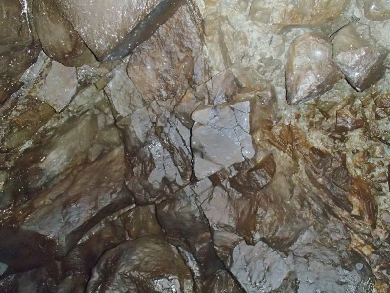 f:id:qshiro:20141020154426j:image:w360