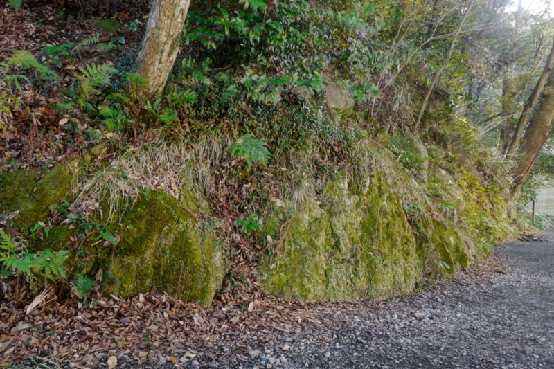 f:id:qshiro:20150221144131j:image:w360