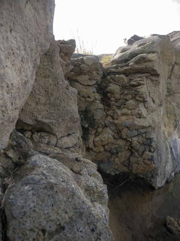 f:id:qshiro:20150315191009j:image:w260 f:id:qshiro:20150315191009j:image:w260