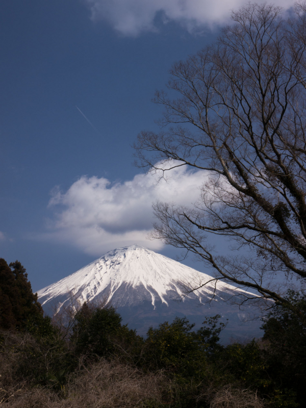 f:id:qshiro:20150315191021j:image:w260 f:id:qshiro:20150315191021j:image:w260