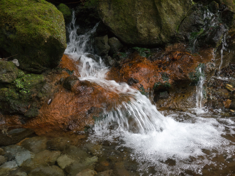 f:id:qshiro:20150315191022j:image:w360 f:id:qshiro:20150315191022j:image:w360