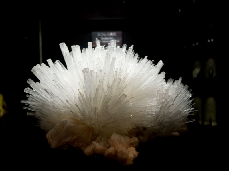 f:id:qshiro:20150315191026j:image:w360 f:id:qshiro:20150315191026j:image:w360