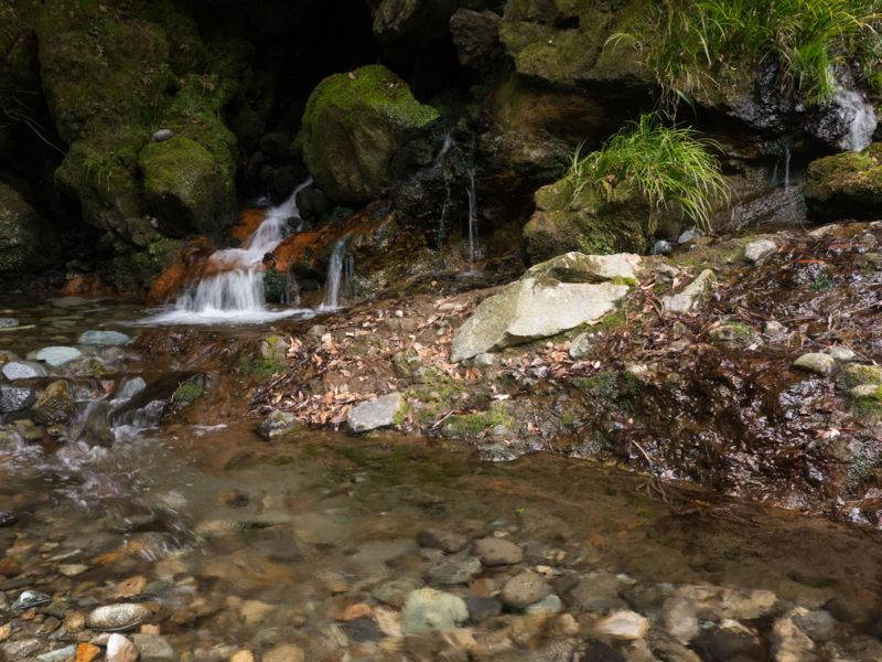 f:id:qshiro:20150315200654j:image:w360 f:id:qshiro:20150315200654j:image:w360