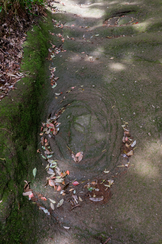 f:id:qshiro:20150415195527j:image:w260