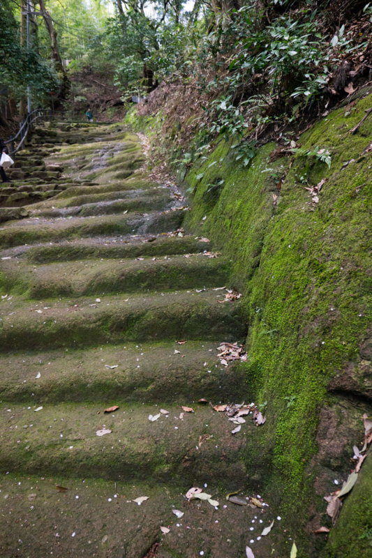 f:id:qshiro:20150415195532j:image:w260