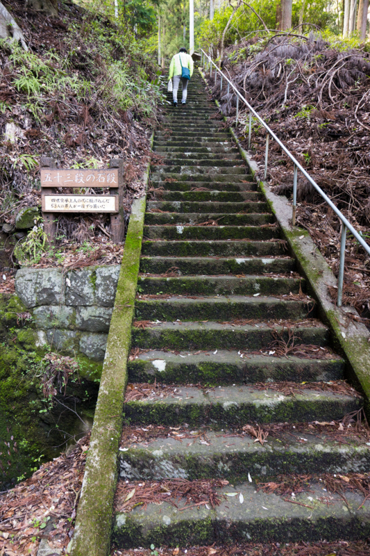 f:id:qshiro:20150415195537j:image:w260