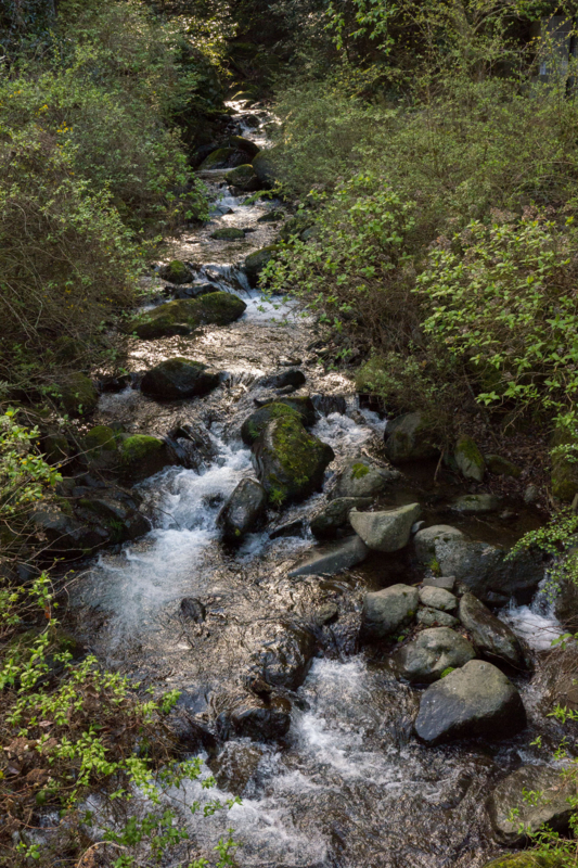 f:id:qshiro:20150415195541j:image:w260