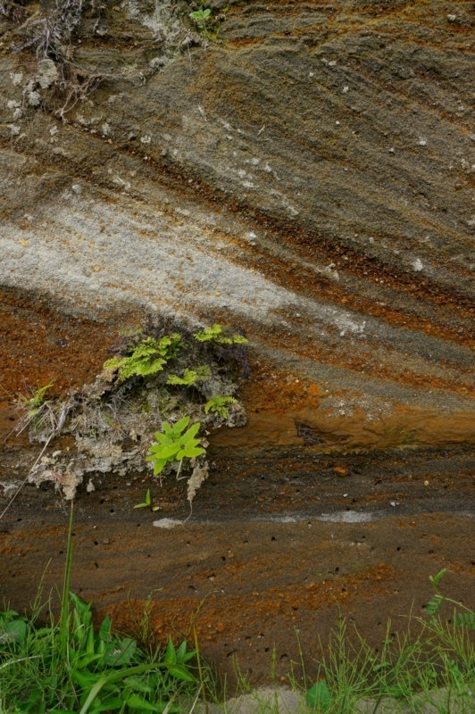 f:id:qshiro:20150430104027j:image:w260