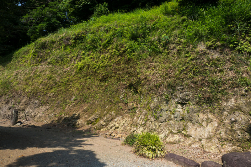 f:id:qshiro:20150625192531j:image:w360 f:id:qshiro:20150625192531j:image:w360