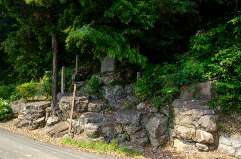 f:id:qshiro:20150625192533j:image:w360 f:id:qshiro:20150625192533j:image:w360