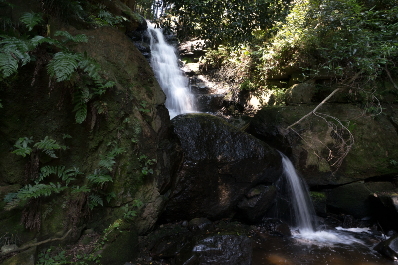 f:id:qshiro:20150625192535j:image:w360 f:id:qshiro:20150625192535j:image:w360