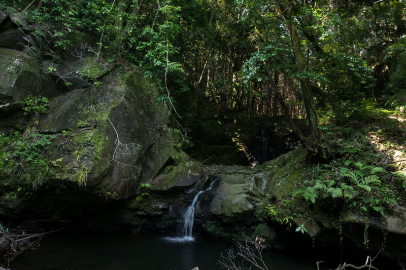 f:id:qshiro:20150625192539j:image:w360 f:id:qshiro:20150625192539j:image:w360