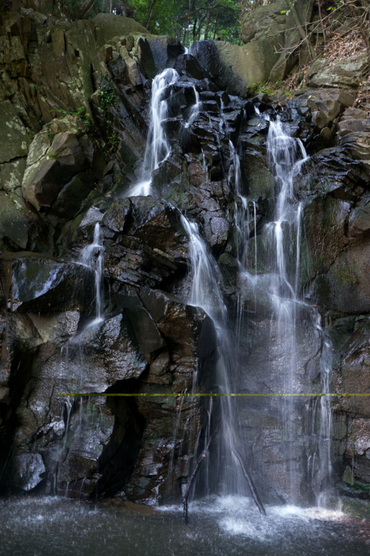 f:id:qshiro:20150625192545j:image:w260 f:id:qshiro:20150625192545j:image:w260