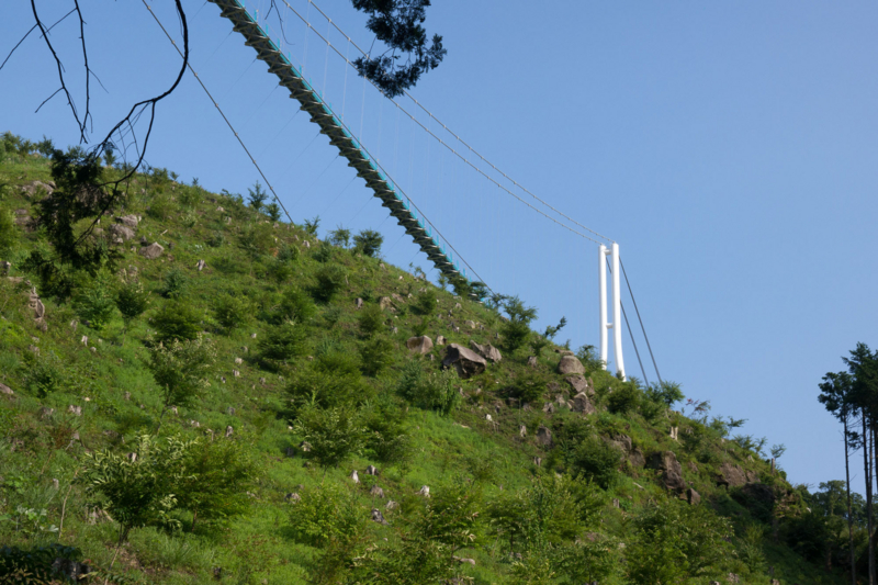 f:id:qshiro:20150625192547j:image:w360 f:id:qshiro:20150625192547j:image:w360