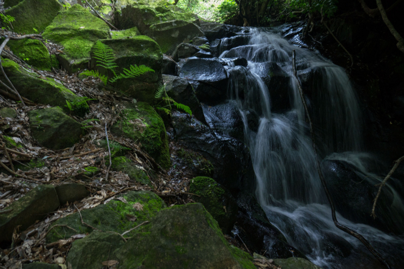 f:id:qshiro:20150625192548j:image:w360 f:id:qshiro:20150625192548j:image:w360