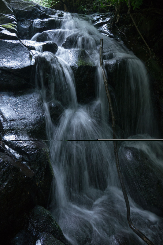 f:id:qshiro:20150625192549j:image:w260 f:id:qshiro:20150625192549j:image:w260