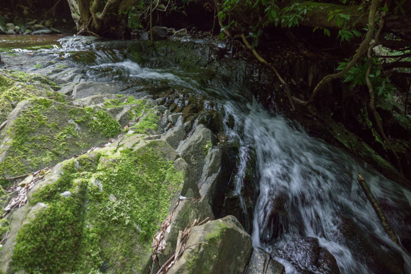 f:id:qshiro:20150625192550j:image:w360 f:id:qshiro:20150625192550j:image:w360