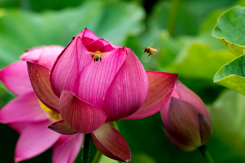 f:id:qshiro:20150704081834j:image:w360