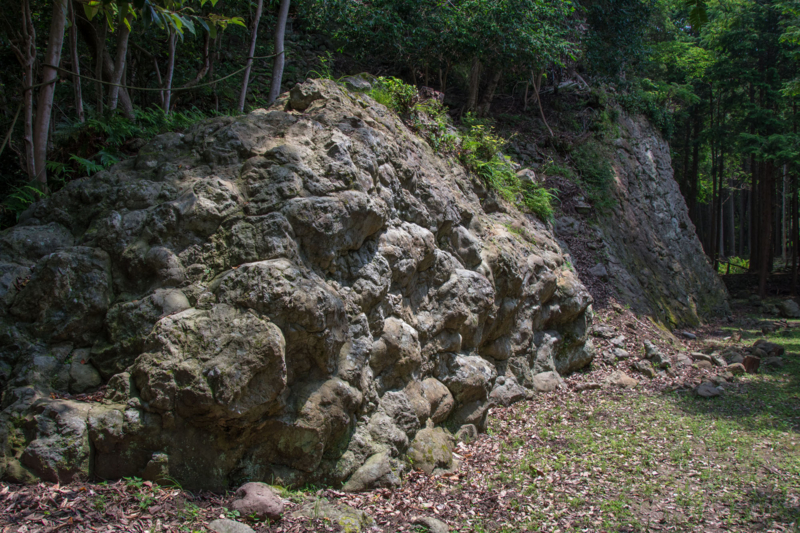 f:id:qshiro:20150728203659j:image:w360