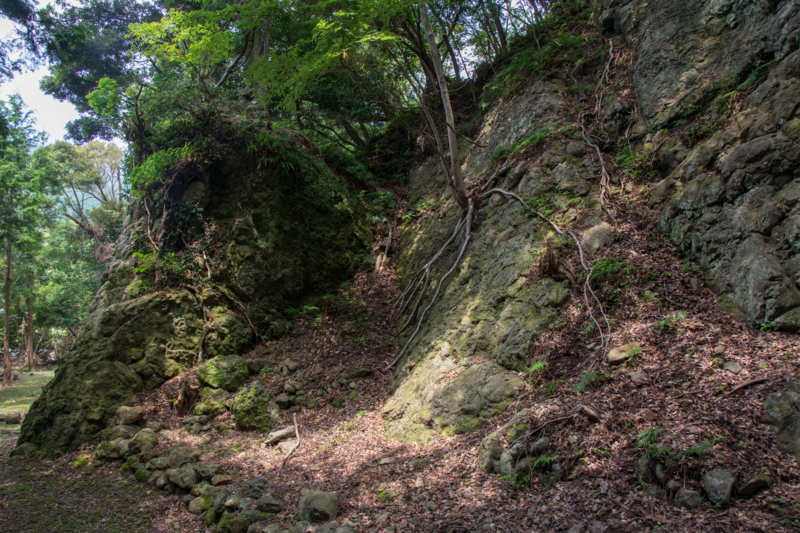 f:id:qshiro:20150728203700j:image:w360