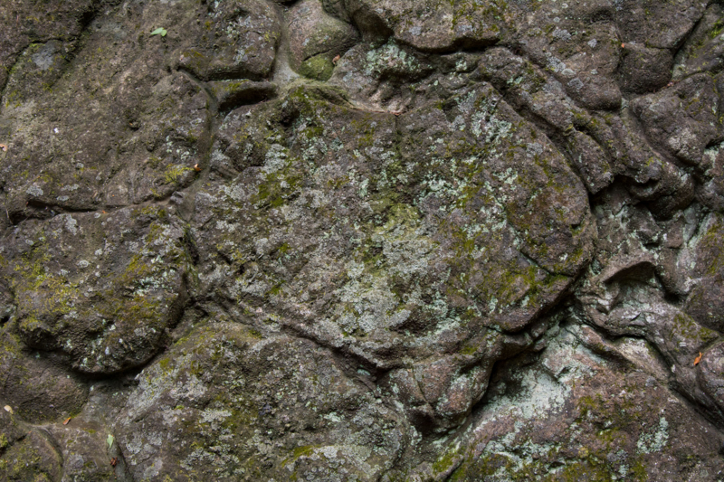 f:id:qshiro:20150728203702j:image:w360