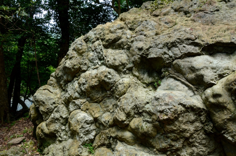 f:id:qshiro:20150728203703j:image:w360