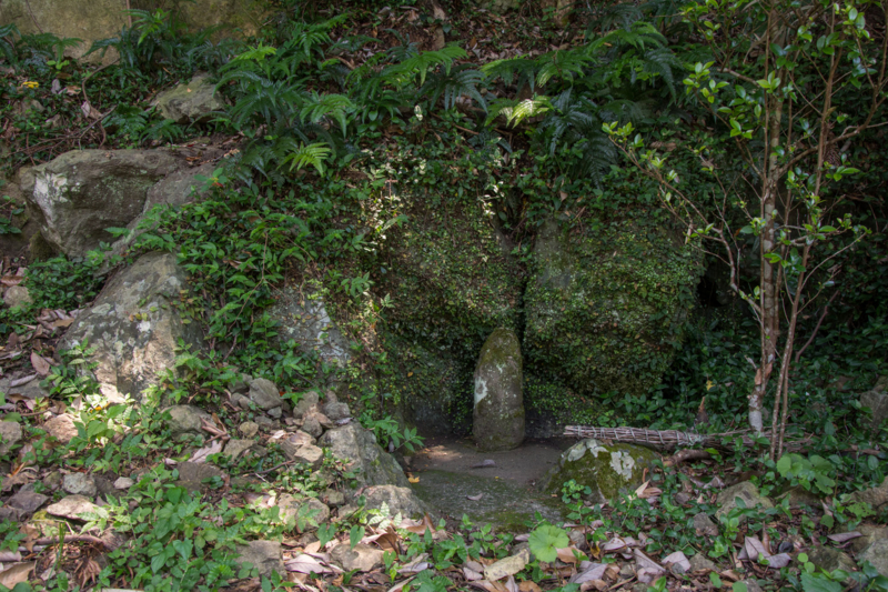 f:id:qshiro:20150728203704j:image:w360