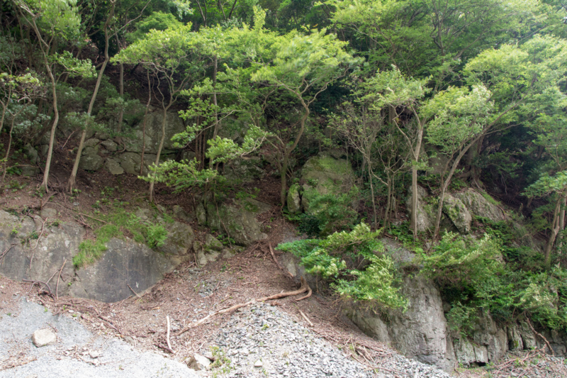 f:id:qshiro:20150728203706j:image:w360