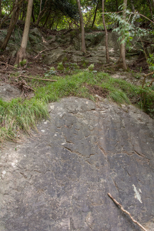 f:id:qshiro:20150728203708j:image:w260