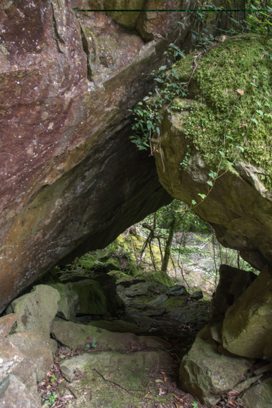 f:id:qshiro:20150728203723j:image:w260