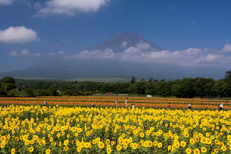 f:id:qshiro:20150809160059j:image:w360