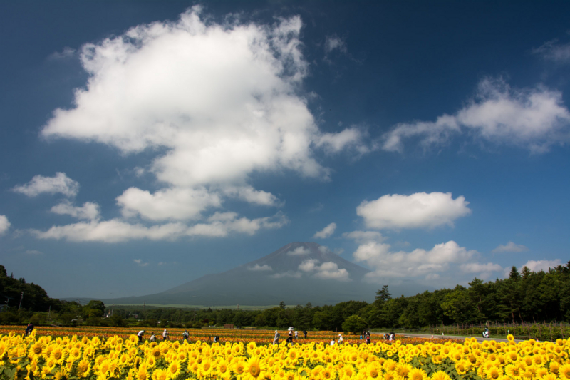 f:id:qshiro:20150809160100j:image:w360