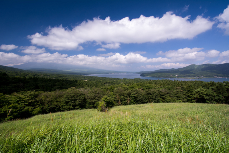 f:id:qshiro:20150809160104j:image:w360