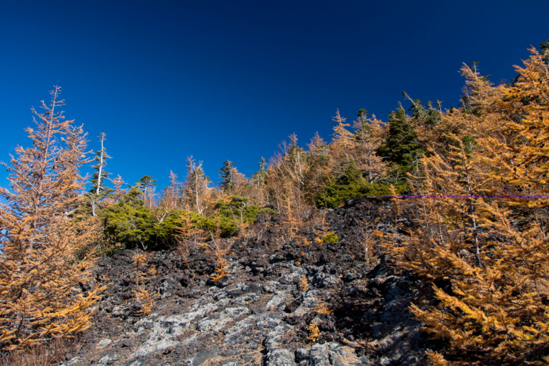 富士山スバルラインの紅葉と溶岩流 画像多いので注意 牛歩的写真中心網録