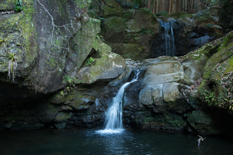 f:id:qshiro:20160203181201j:image:w360 f:id:qshiro:20160203181201j:image:w360