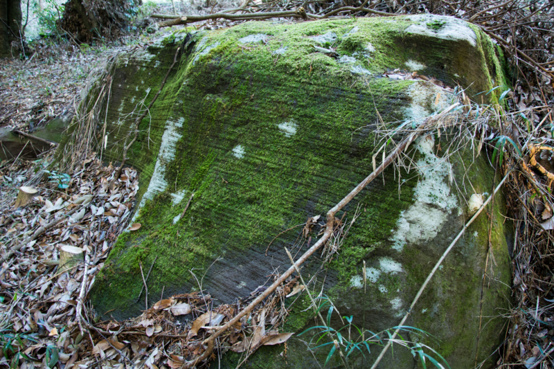 f:id:qshiro:20160203181206j:image:w360 f:id:qshiro:20160203181206j:image:w360