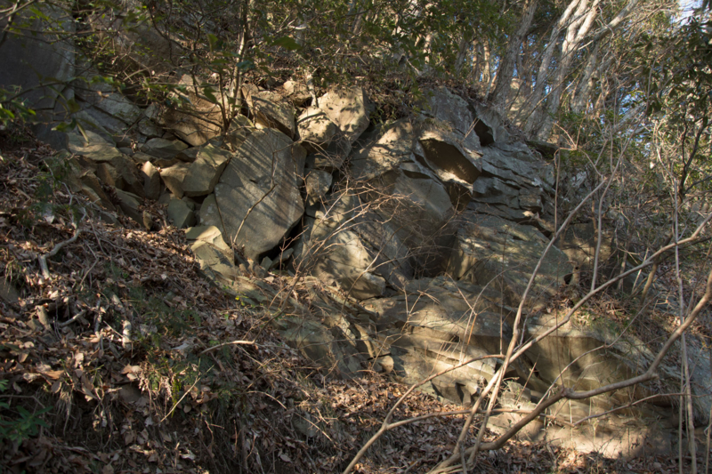 f:id:qshiro:20160203183901j:image:w360 f:id:qshiro:20160203183901j:image:w360