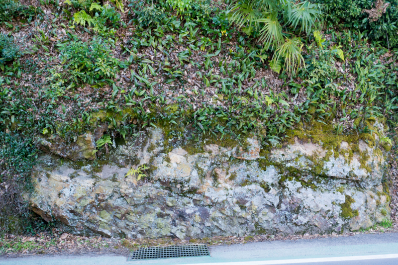 f:id:qshiro:20160209162650j:image:w360