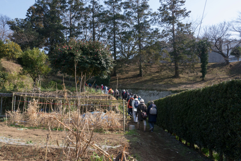 f:id:qshiro:20160209162734j:image:w360