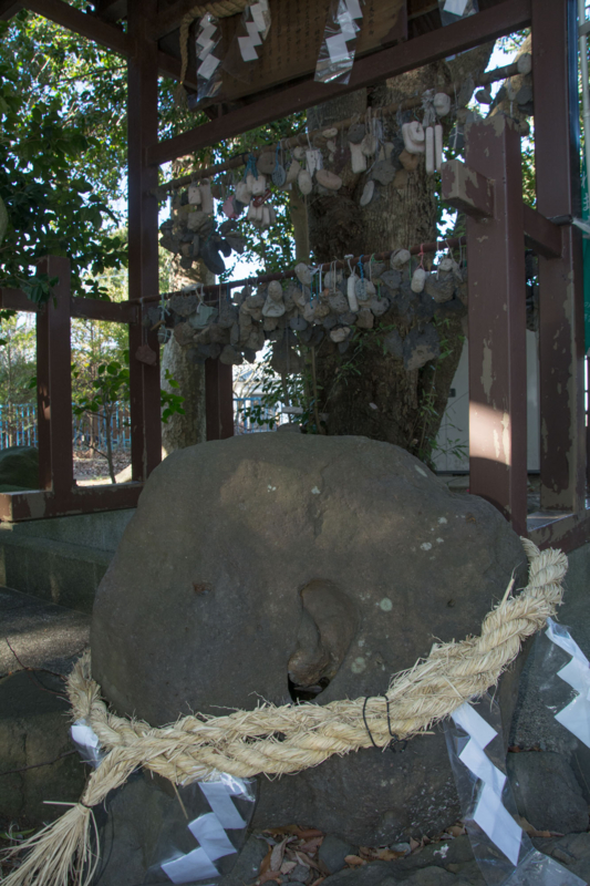 f:id:qshiro:20160218184727j:image:w260