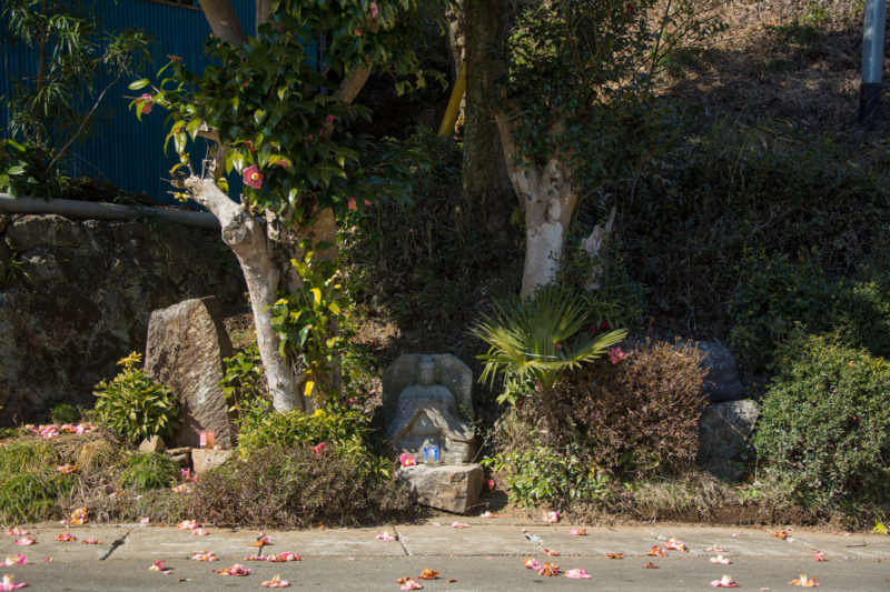 f:id:qshiro:20160302172312j:image:w360