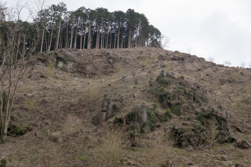 f:id:qshiro:20160329185424j:image:w360