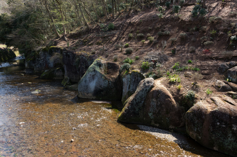 f:id:qshiro:20160329185446j:image:w360