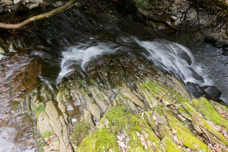 f:id:qshiro:20160329185522j:image:w360