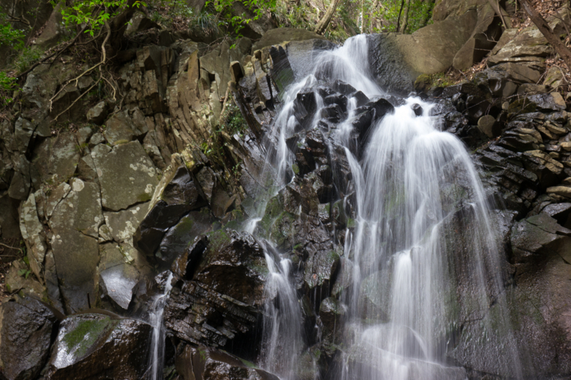 f:id:qshiro:20160329194946j:image:w360